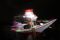 Lampion Hias Semarakkan...