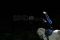 World Equestrian Games...
