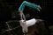 World Equestrian Games...