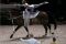 World Equestrian Games...