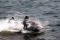 Festival Jetski di Pantai...
