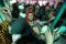 Warga Berebut Kupon...