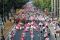 Seckher Walk Pink Ribbon