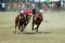 Lomba Karapan Sapi Piala...