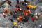 Bangunan Rubuh di Taman...