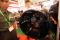 Indo Defence Expo 2014