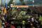 Kemeriahan Perang Tomat...