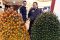 Pameran Industri Sawit...