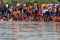 Lomba Renang Lintas...