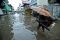 Banjir Makassar, Aktivitas...