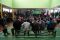 Sidang Tilang Membludak...