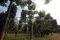 Universitas Indonesia...