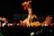 Ribuan Lampion Warna-warni...