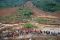 Ratusan Warga Masih...