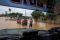 Banjir Malaysia, 160...