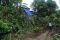 Banjir dan Longsor di...