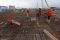 Proyek Tol Tanjung Priok...