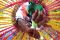 Tradisi Maudu Lompoa