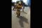 Robot Bumblebee Hadir...