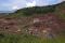 Penambangan Pasir Gunung...