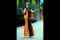 Colorful Banyuwangi...