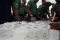 Anggota Kodim 0733/BS...