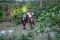 Kawat Baja Penyambung...