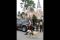 Unit K-9 Sisir Gereja...