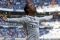 Selebrasi 5 Gol Ronaldo,...