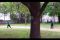 Video Polisi AS Tembak...