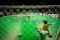 Timnas Futsal Indonesia...