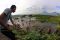 Bersihkan Rawa Pening