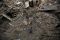 Gempa Nepal, 2.352 Tewas...