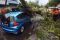Angin Kencang, Honda...