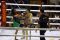 Petarung Muaythai Berlaga...