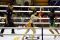 Petarung Muaythai Berlaga...