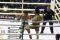 Petarung Muaythai Berlaga...