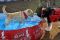 Purina Alpo Dog Run...