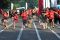 Purina Alpo Dog Run...