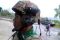 Panglima TNI Tinjau...