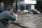 Banjir Gerogia, Satwa...