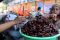 Berburu Kurma di Pasar...