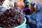 Berburu Kurma di Pasar...