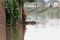 Banjir Bandang Rendam...