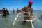 Sambut HUT RI, Marinir...