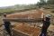 Manfaatkan Ladang Kering...