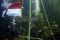 Bendera Merah Putih...