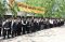 AGP Salurkan Ratusan...