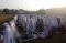 Warga Muhammadiyah Gelar...