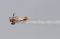 Wingwalkers Breitling,...